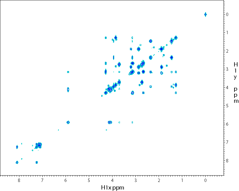 2D absolute-value COSY