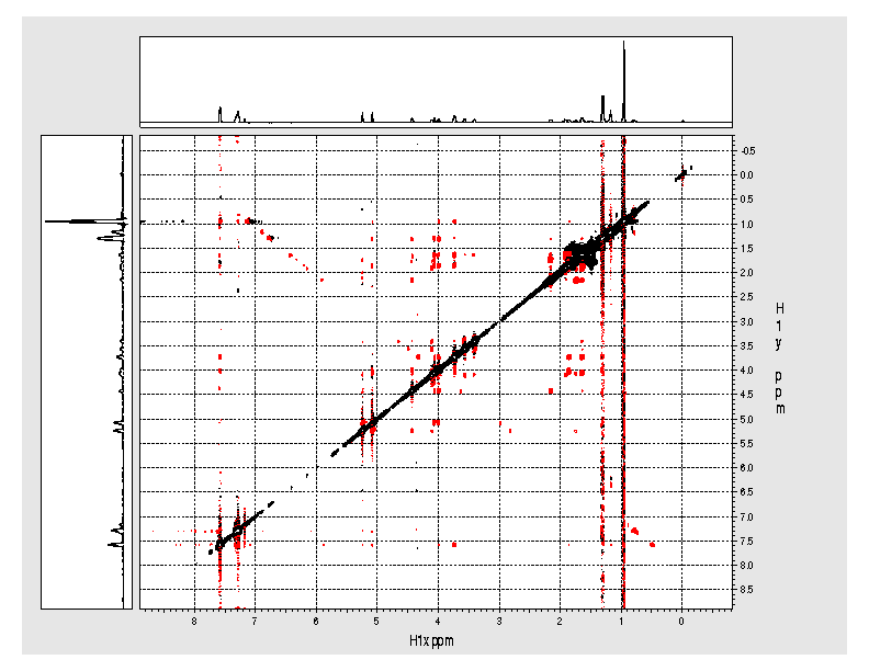 NOESY Spectrum